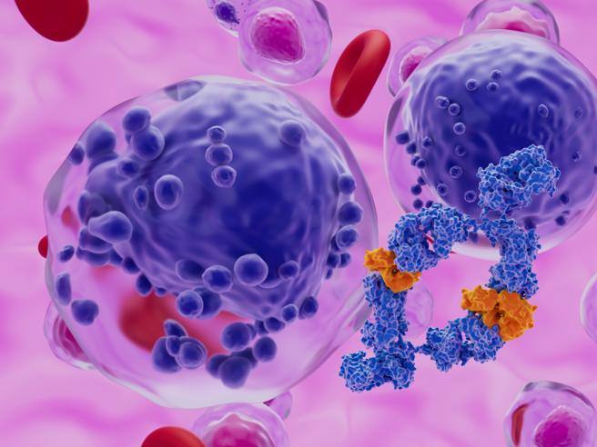Cancers du sang, des CAR-T aux anticorps monoclonaux : toujours plus de traitements grâce à la recherche scientifique